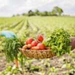 ¡IoT solución inteligente y sustentable para la agricultura!